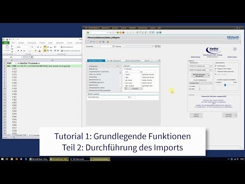 SimDia² Tutorial 1-2: Excel-SAP Import automatisieren - Durchführung des Daten-Imports nach SAP