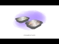 LAKOMI VIDEO ENGLISH