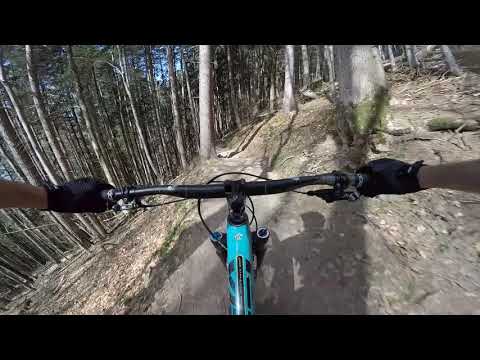 Neureuth Trail Gimbal