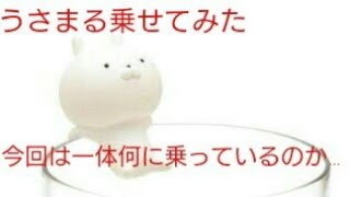 乗り方を間違えたうさまる Part2