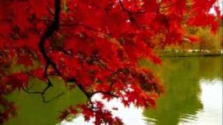 The Damned -  Don&#39;t Bother Me ( Audio Only) 1982