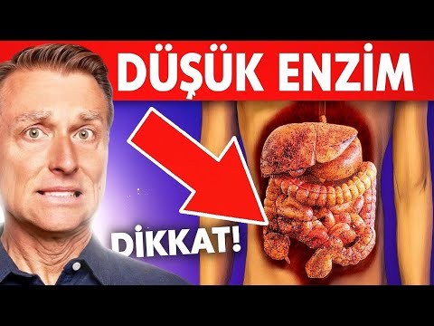 Sindirim Enzimi Eksikliğinin En Yaygın Belirtileri | Dr. Berg Türkçe