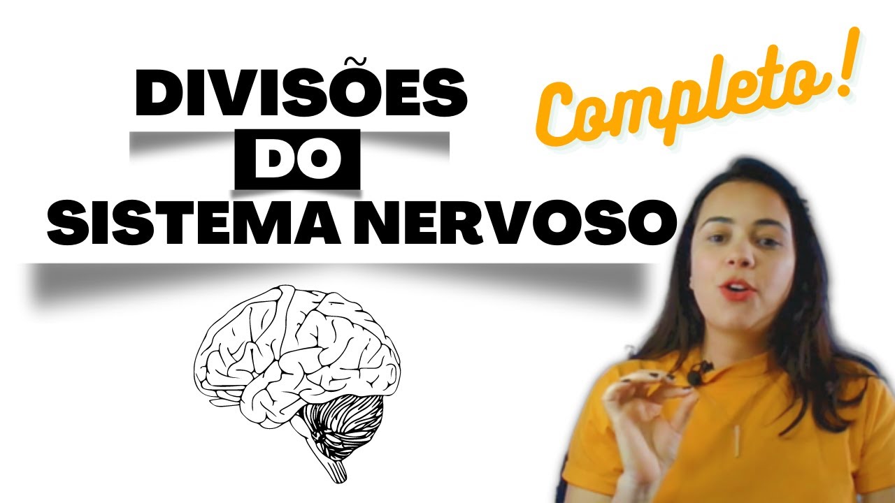Neuroanatomia - Divisões do Sistema Nervoso (anatômica, funcional, segmentar e embriológica)