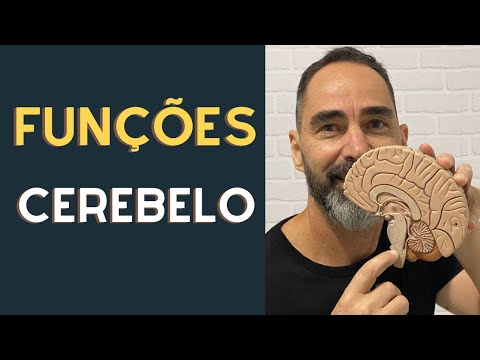 What is the cerebellum used for?