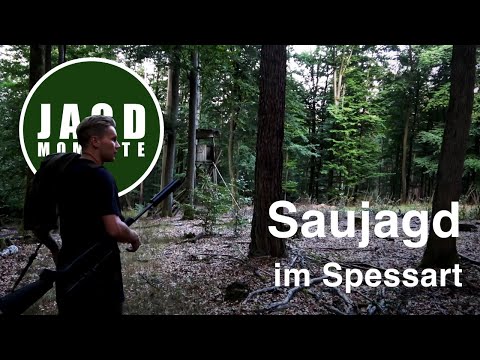 Saujagd im Spessart  | JagdMomente mit Freunden | Folge 1