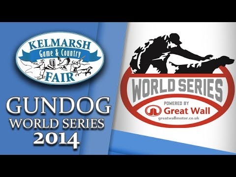 Kelmarsh Country Show: Gundog World Series 2014