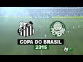 Jogo Completo Santos 1 X 0 Palmeiras Final Copa Do Brasil 2015 25 11 2015 Futebol HD