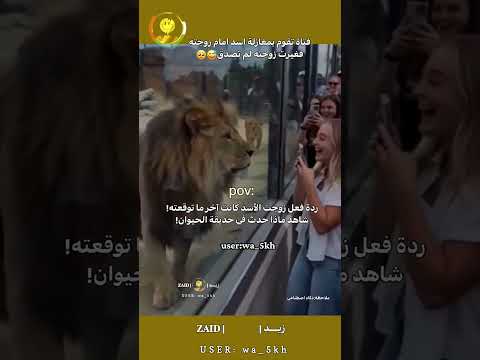 فتاة تقوم بمغازلة اسد امام زوجته فغيرت زوجته لم تصدق😅🥺#reels #لايك #fypシ #shorts #zaid #dance