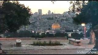 Download lagu Nasidah Ria,' Palestina Damailah mp3 Download lagu Nasidah Ria,' Palestina Damailah mp3