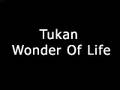 Tukan - Wonder Of Life 