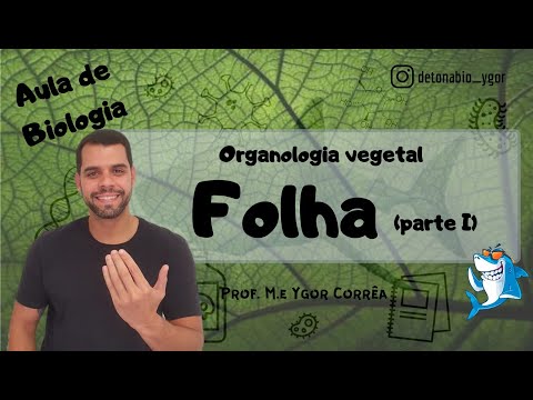 Botânica (Aula 17) - Organologia vegetal - Folha (parte I)