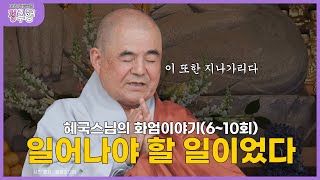 [#정주행] 일어나야 할 일이 일어났을 뿐｜혜국스님의 인생법문 몰아보기(6~10회) #혜국스님