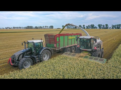 Schlagkraft beim GPS Häckseln mit Krone BIGX 700 und Claas Jaguar 970 Black Edition