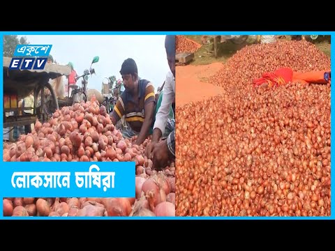 দেশি পেঁয়াজের দাম কমায় লোকসানে চাষিরা