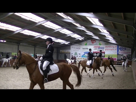 Carrouselwedstrijd NK Paarden Carrousel Manege De Drechterweide