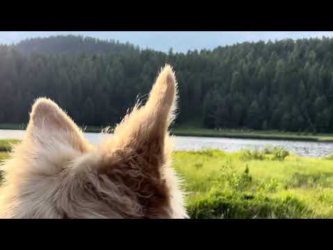 Morcheeba @ Lej da Staz