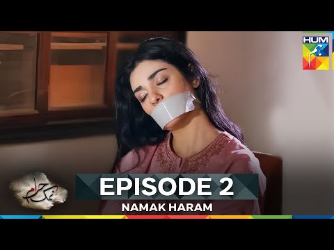 Namak Haram Episode 2