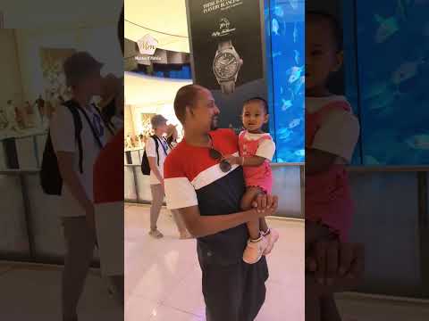 biggest aquarium Dubai🌃#mall #dubai #big #aquarium #minutesofmehfuz ..