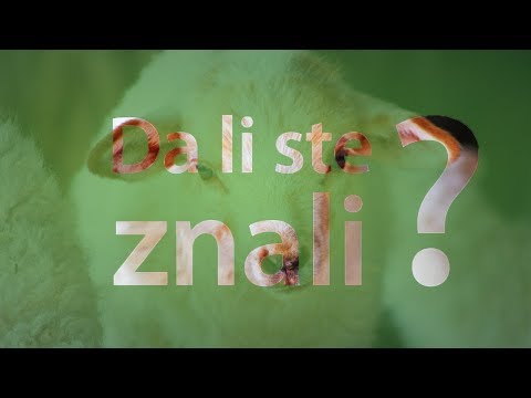 Da li ste znali - Od čega zavisi mlečnost ovaca?