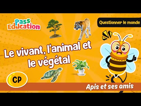 Le vivant, l’animal et le végétal CP - Apis & ses amis Séquence: Leçon, Exercices, Evaluation