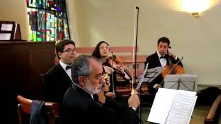 Ave María de Franz Schubert
