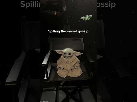 Our favourite influencer