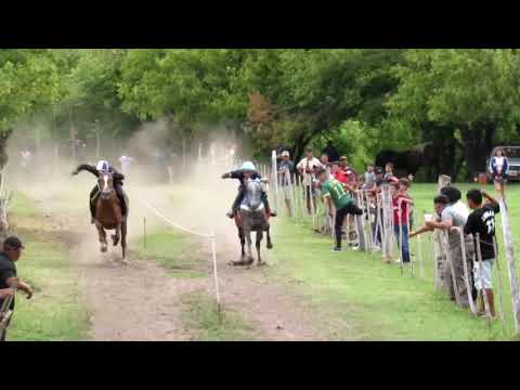 Carreras salsipuedes