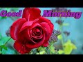 Good Morning Lovely Whatsapp Status Sweet Short Video