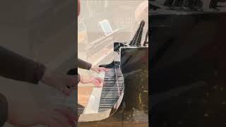 Download lagu まらしぃさんの編曲素敵すぎる✨ #ピアノ  #ピアノ演奏   #piano  #pianocover  #pianosolo #concerts #カノン #pachelbel  #まらしぃ mp3