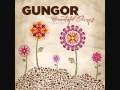We Will Run - Gungor 