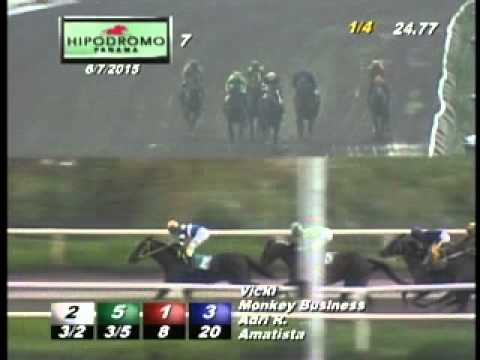 7MA CARRERA DOMINGO 7 DE JUNIO 2015 HPR