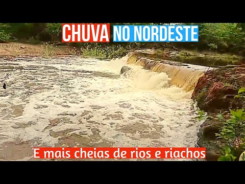 ⛈️🌵CHUVAS ABENÇOANDO O NORDESTE c28