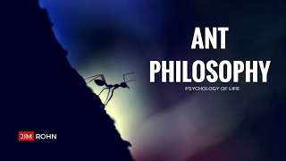 Jim Rohn - The Ant Philosophy (Jim Rohn Personal D