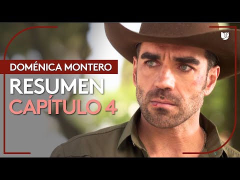 Domenica Montero | Chapter 4 - Summary