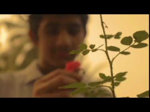 ANIRUDH MADHAV KS First Shortfilm