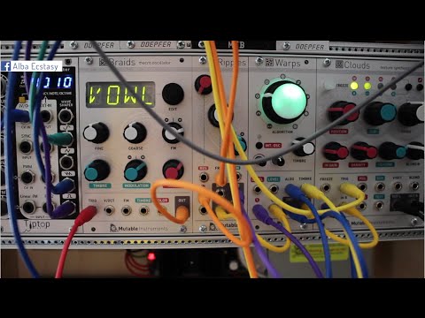 Braids - Turing Machine - Bees in the Trees alternative firmware