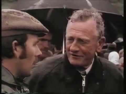 RDVideo - I cavalli dell'isola di Smeraldo (Irlanda)