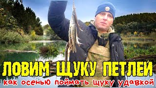 Как ловить щуку на петлю уроки