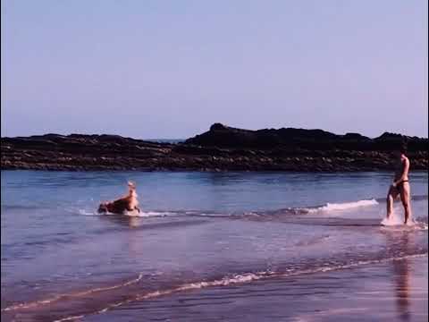 Akaleia - argi [visualizer]