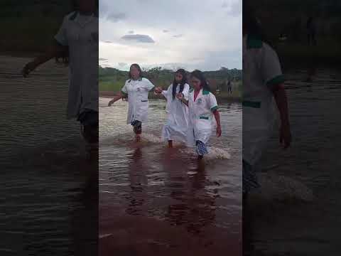 radio ligados na videir