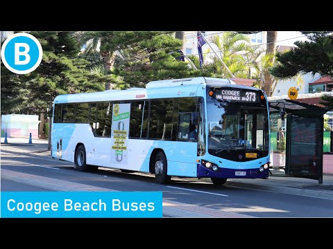 Sydney Buses - Coogee Beach Buses