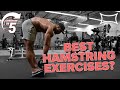 The Best RDL Variations to Fix Imbalances Ft. Julian Baldi