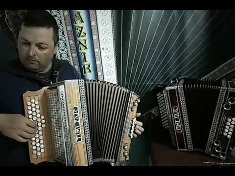 TIMI ZAJC C F B - PLAZNIK STIMA