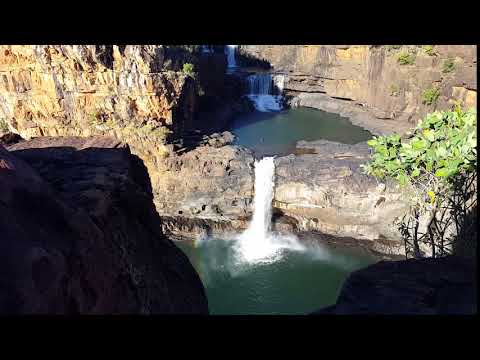 FoxRoo - Mitchell Falls, Kimberly, Western Australia