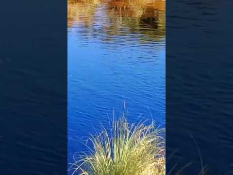 Río Panaholma en Cura Brochero, Traslasierras, Córdoba, Argentina.#curabrochero