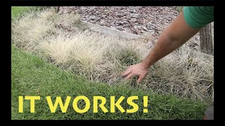 DIY Weed Killer that is SAFE and EFFECTIVE