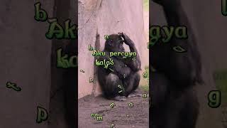 Download lagu sering pusing 🤭#status #shortslucu #storylucu #shorts #viral #trending #trendingshorts #shortvideo mp3