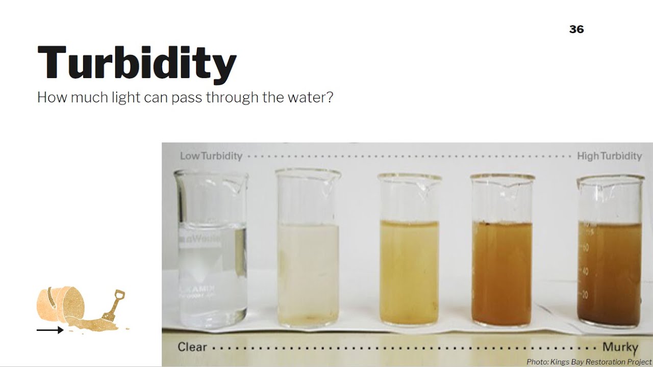 Turbidity: Water Quality Parameters #7