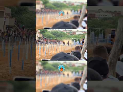 CORRIDA DE CAVALO, Ourolândia, Bahia, #cavaloscorridasehistorias