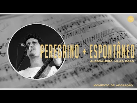 Peregrino video